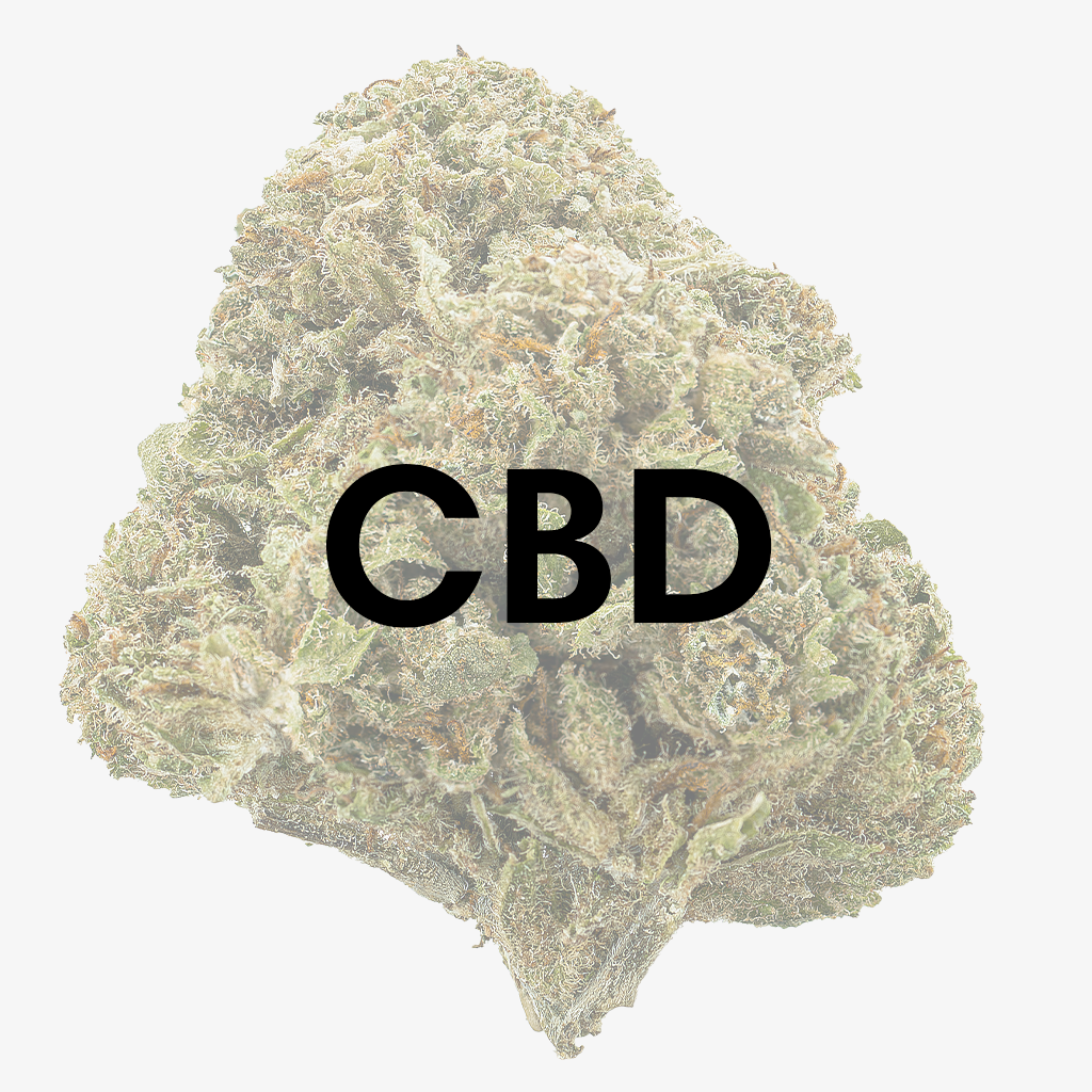 Cannabis légal - CBD - Herbz.dk