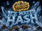 Hash à l'eau glacée