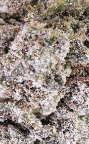 gros plan sur une fleur de cannabis thca