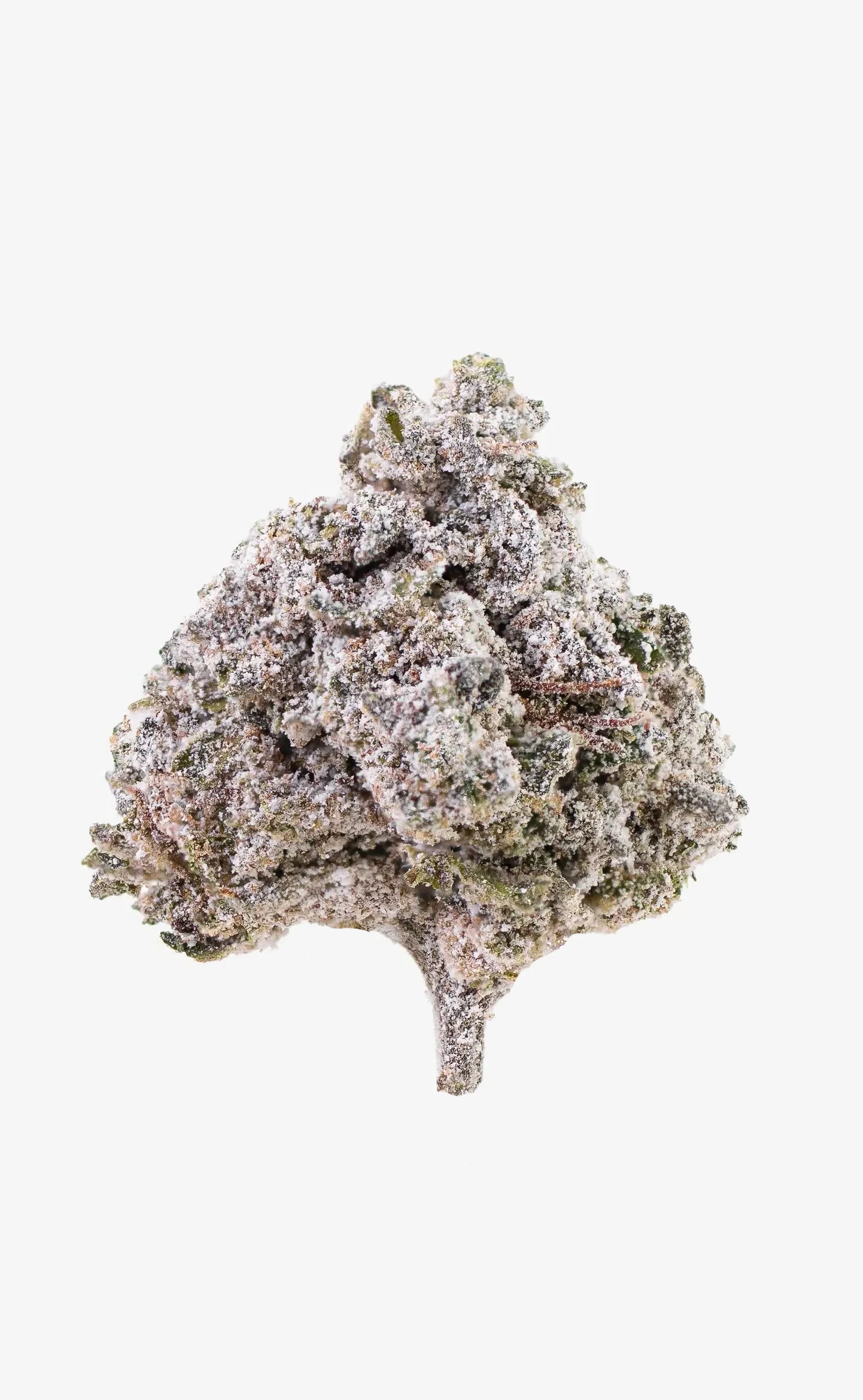 fleur de cannabis thca