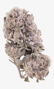 herbz fleur de cannabis thca polar pineapple