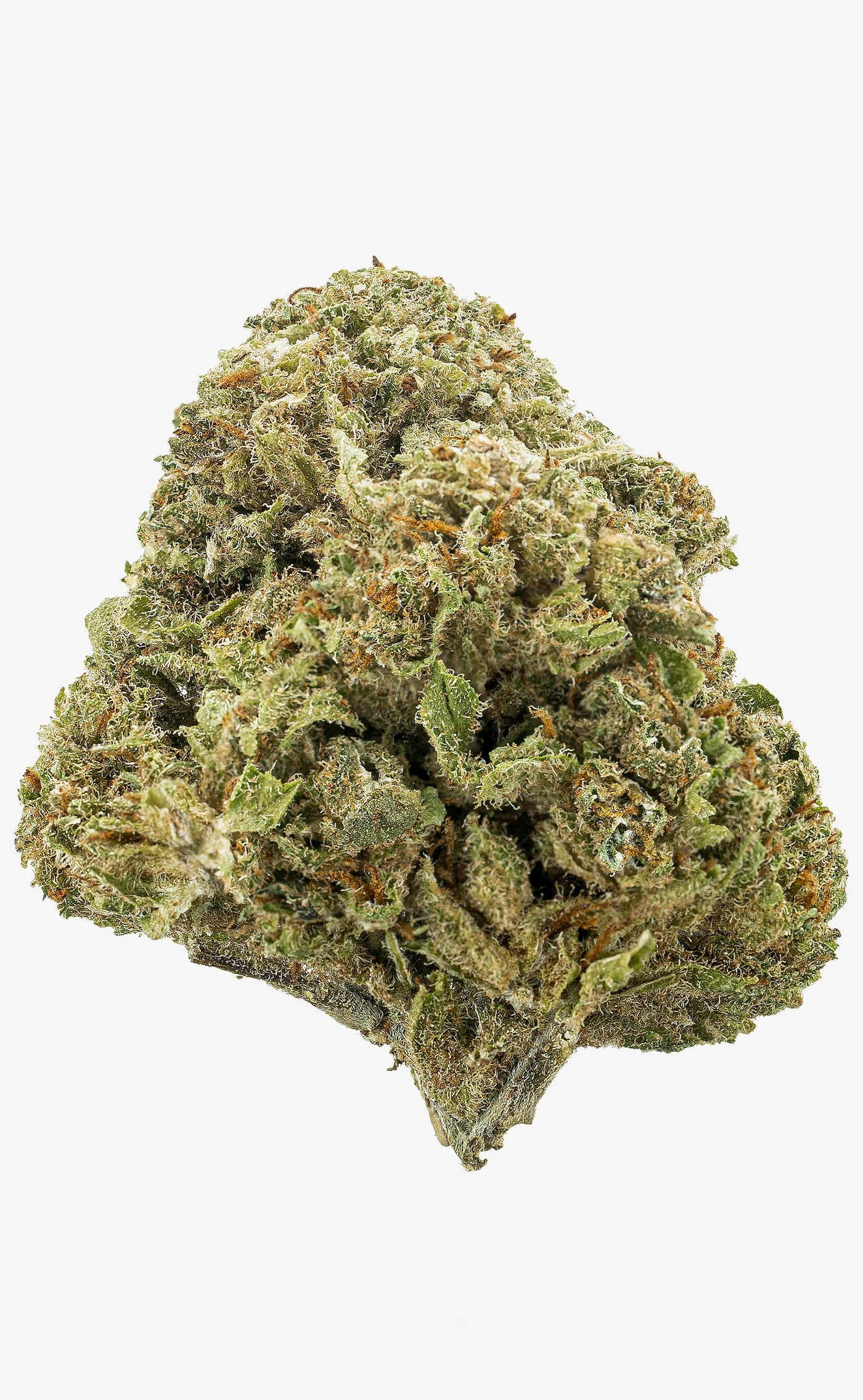 Zkittlez | 16% CBD - herbz.dk herbz.dk 1 g Fleur de CBD - cannabis légal