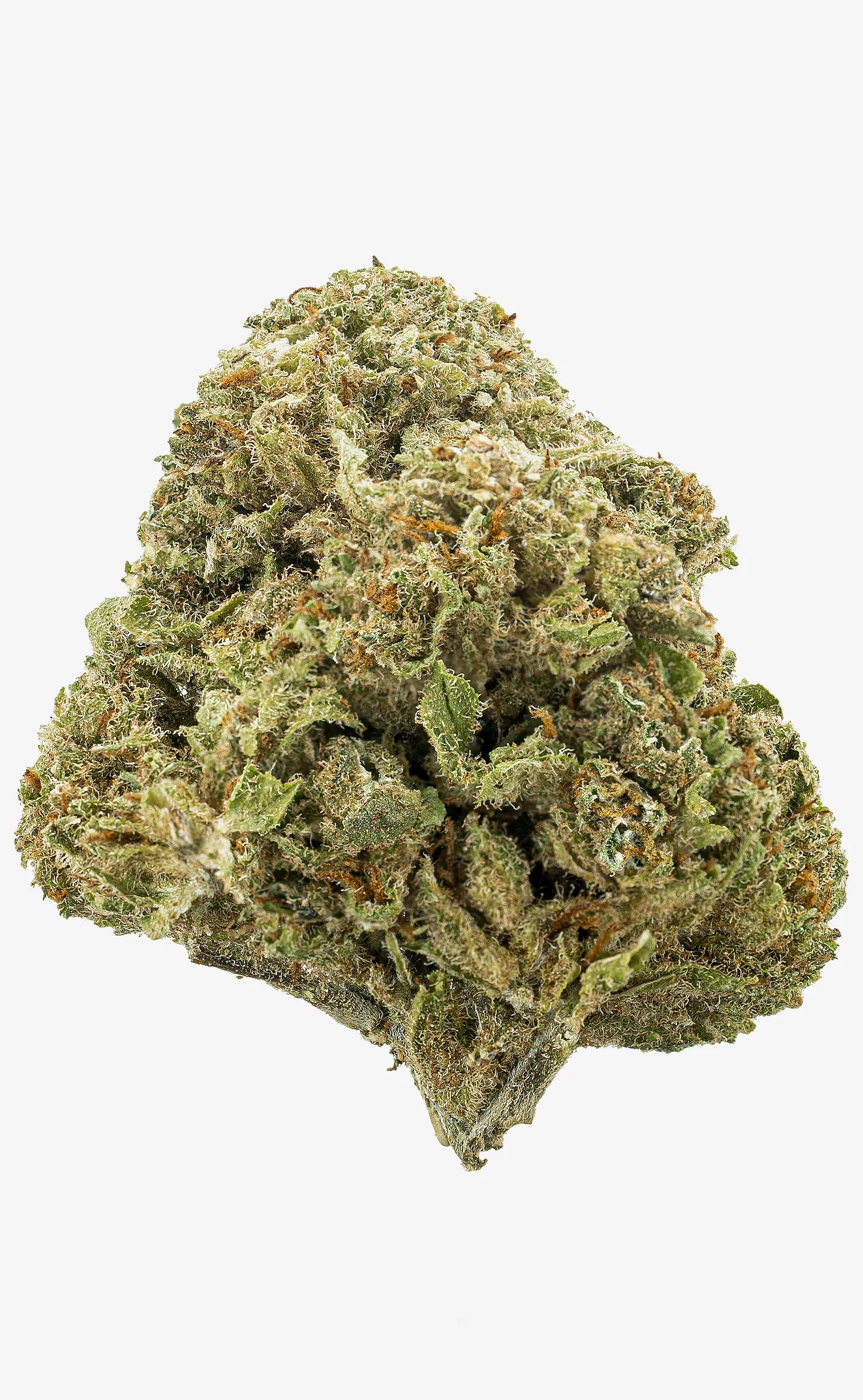 Zkittlez | 16% CBD - herbz.dk herbz.dk 1 g Fleur de CBD - cannabis légal
