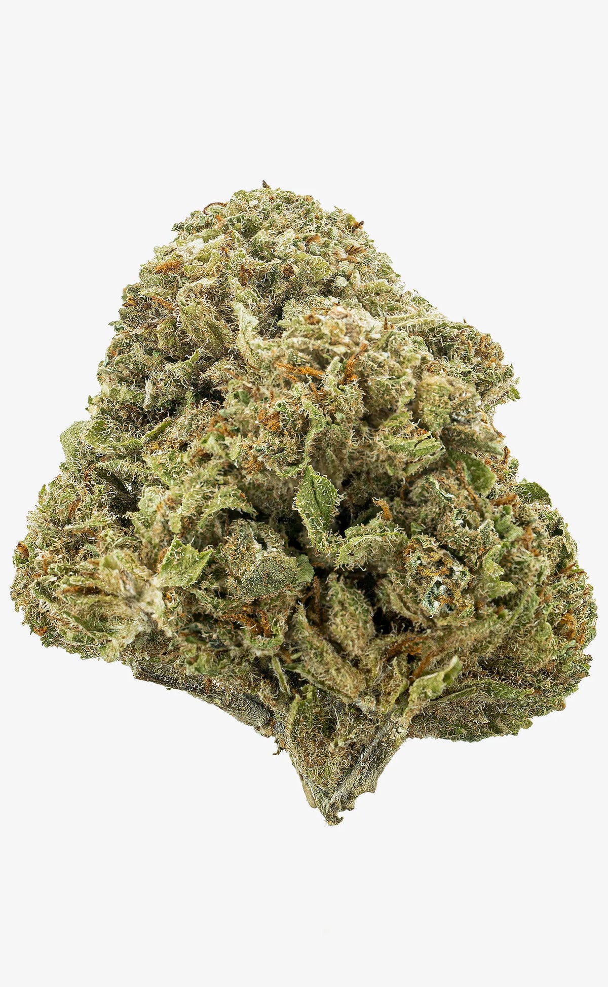 Zkittlez | 16% CBD - herbz.dk herbz.dk 1 g Fleur de CBD - cannabis légal