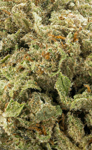 Zkittlez | 16% CBD - herbz.dk herbz.dk 1 g Fleur de CBD - cannabis légal