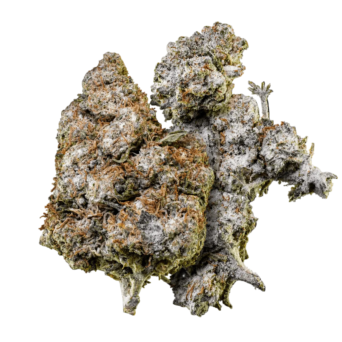 10g O.G. Zkittles 24% THCA et 10g Orange Tangie Smalls 22% THCA réunis dans un pack Herbz