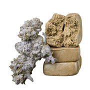 10g Orange Tangie Smalls 22% THCA et 10g Piatella 60% THCA réunis dans un pack Herbz