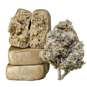 10 g Piatella 60% THCA et 10 g Thai Haze 23% THCA réunis dans un pack Herbz