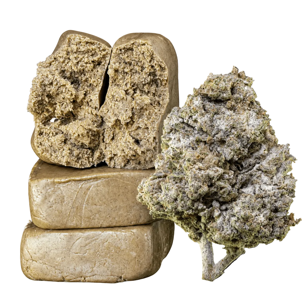 10 g Piatella 60% THCA et 10 g Thai Haze 23% THCA réunis dans un pack Herbz