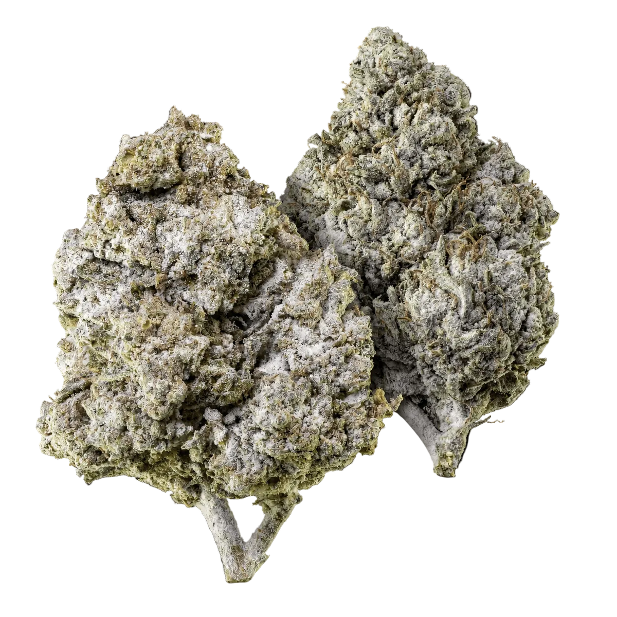 10 g Thai Haze 23% THCA et 10 g Amnesia Haze 23% THCA réunis dans un pack Herbz