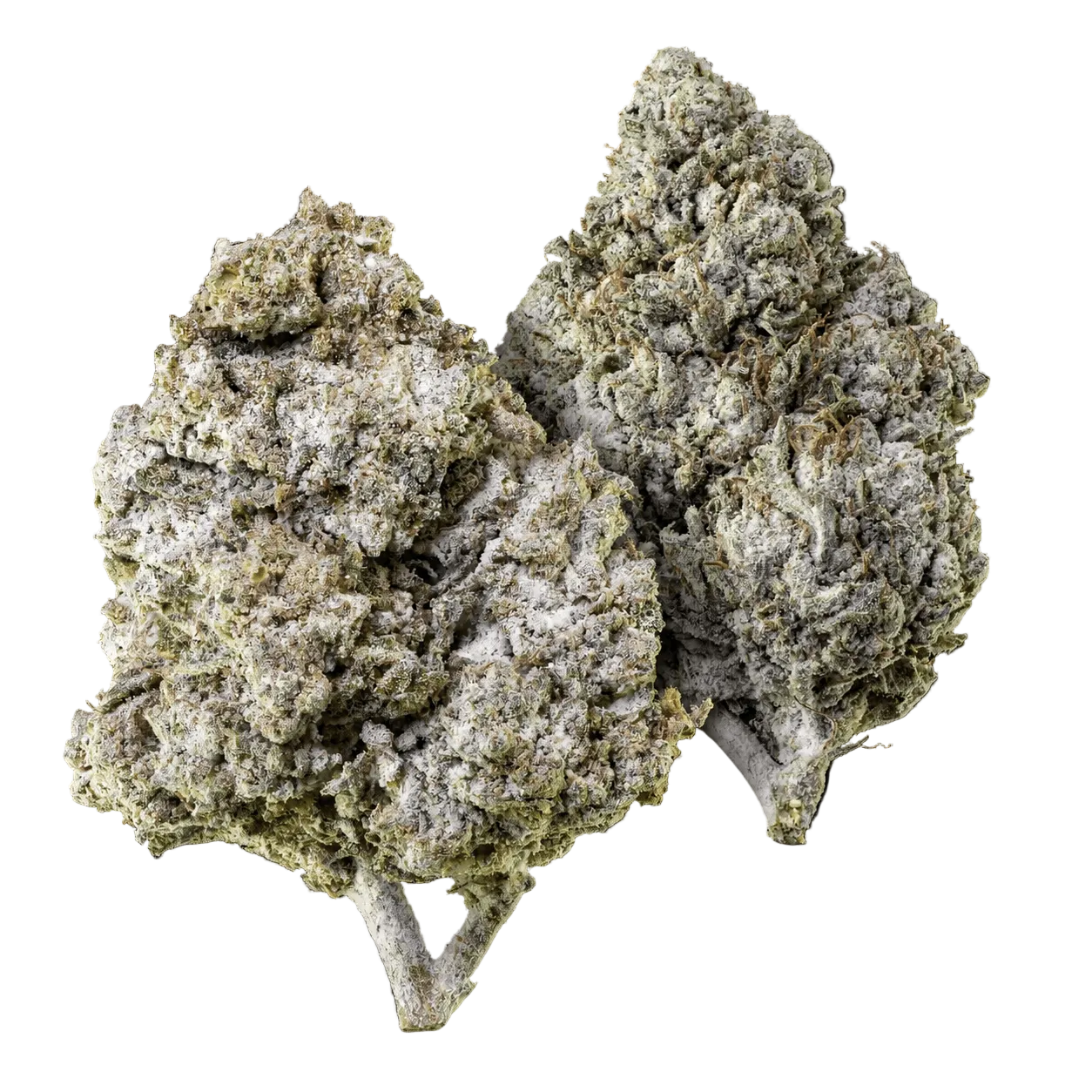 10 g Thai Haze 23% THCA et 10 g Amnesia Haze 23% THCA réunis dans un pack Herbz