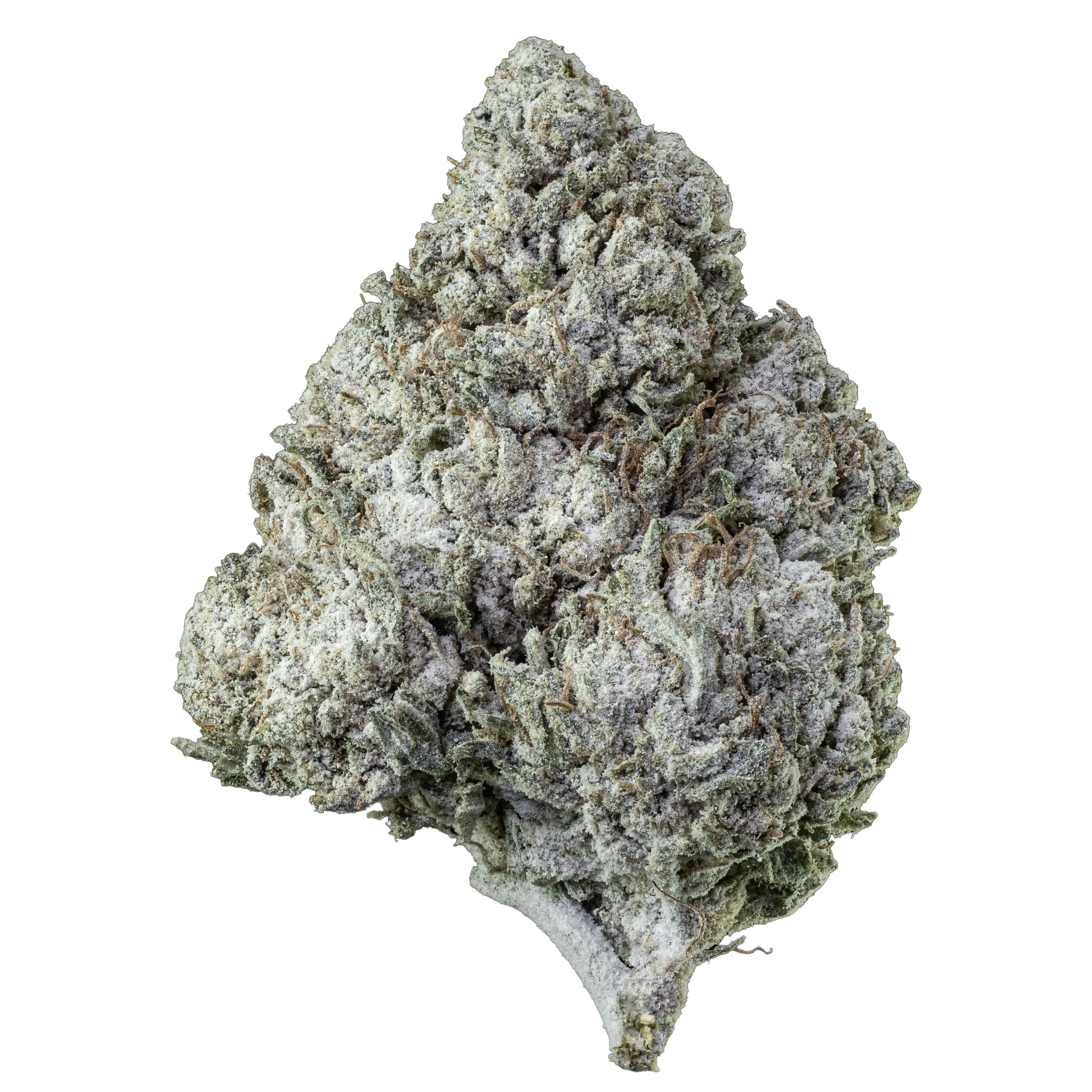Emballage Herbz Amnesia Haze 10g avec design violet et vert