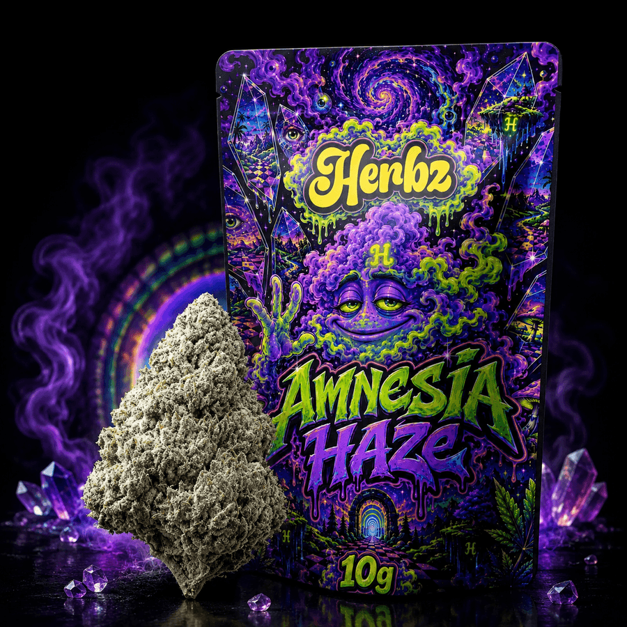 Gros plan sur Amnesia Haze 23% THCA avec des nuances vertes et des pistils orange