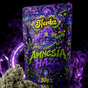 Amnesia Haze 23% THCA, fleur au profil haze classique et citronné