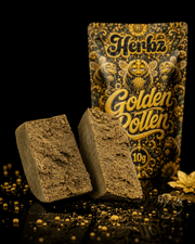 Golden Pollen 30% THCA blocs de hash avec surface brun doré foncé et centre friable