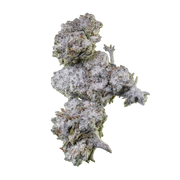 Emballage Herbz Orange Tangie Smalls 10 g au design inspiré des agrumes