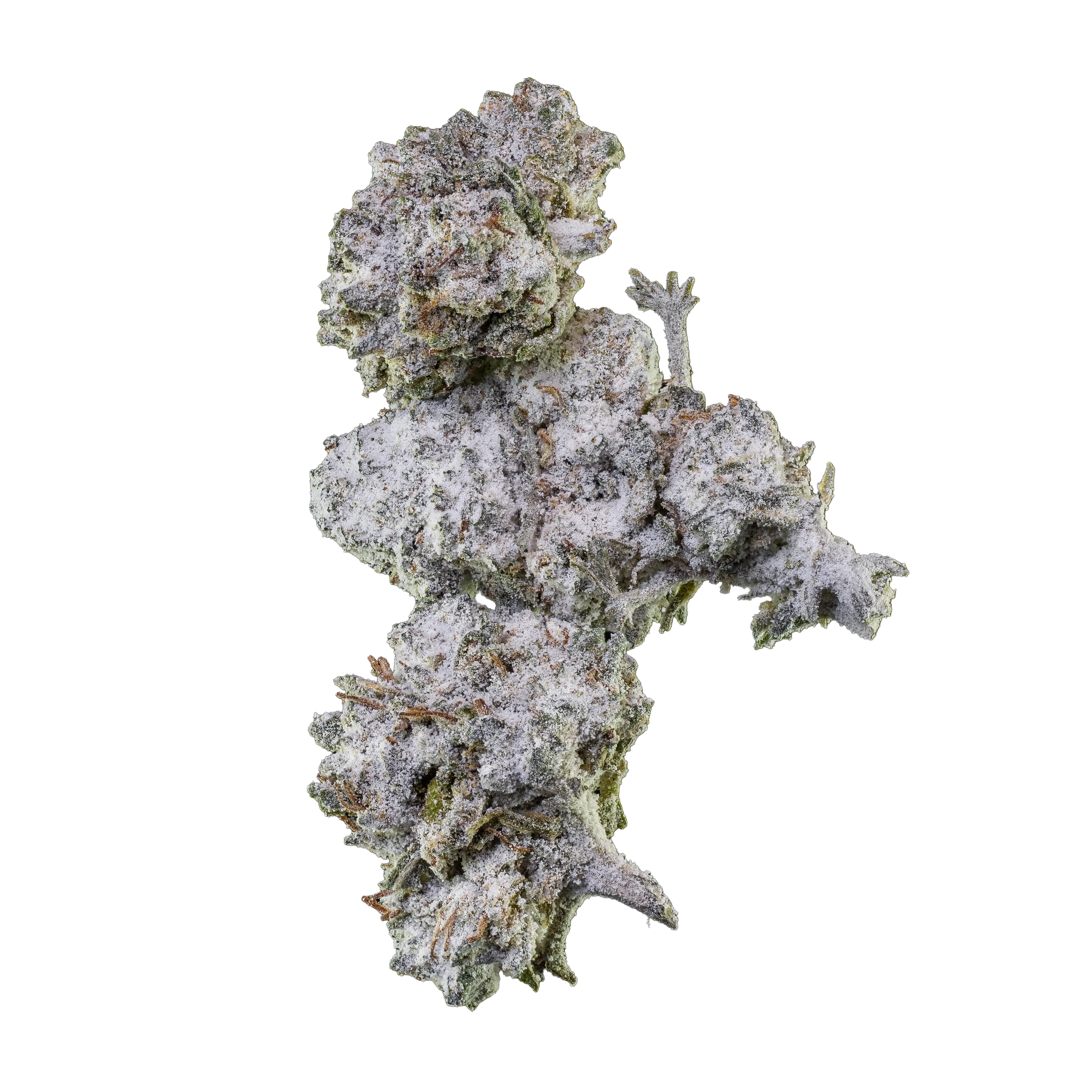 Emballage Herbz Orange Tangie Smalls 10 g au design inspiré des agrumes