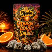 Gros plan sur Orange Tangie Smalls 22% THCA avec des nuances vertes et des pistils orange