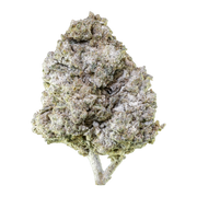 Emballage Herbz Thai Haze 10g avec un design inspiré de la jungle, vert et doré