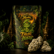 Gros plan sur Thai Haze 23% THCA avec des nuances vert clair et des pistils orange
