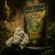 Thai Haze 23% THCA, fleur au profil haze épicé et citronné